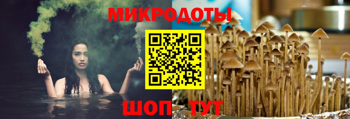 Галлюциногенные грибы Cubensis Солнечногорск